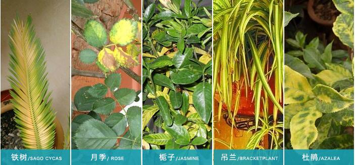 �](m��i)��ʹ�����၆�Fǰ�Ę���