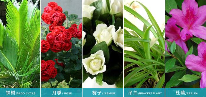 ֲ����ʹ���^(gu��)���၆�F���Ч��