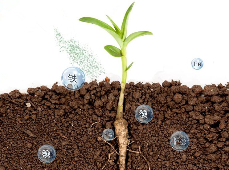 �ۺ������F������x�����iˮ̎���������޹�˾