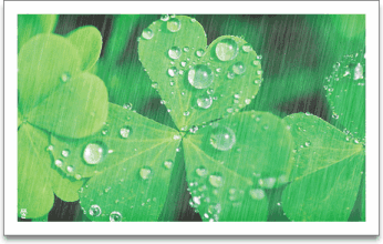 ����·��񻬣�ע�ⰲȫ��