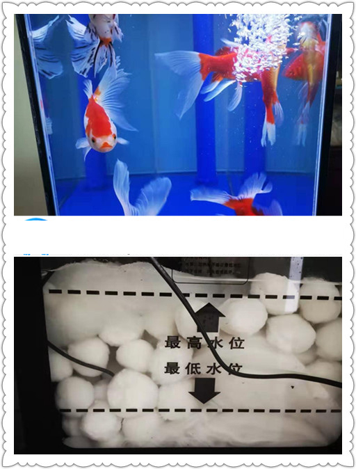 �~�׭h(hu��n)���^�V�w�S�򡪡���x�����iˮ̎���������޹�˾