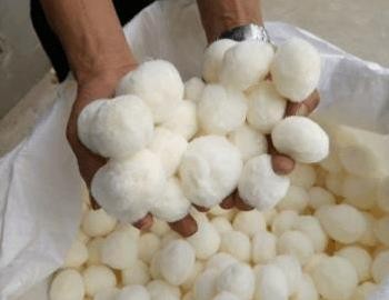 �w�S�򡪡���x�����iˮ̎���������޹�˾